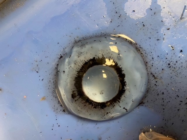 eye6.jpg