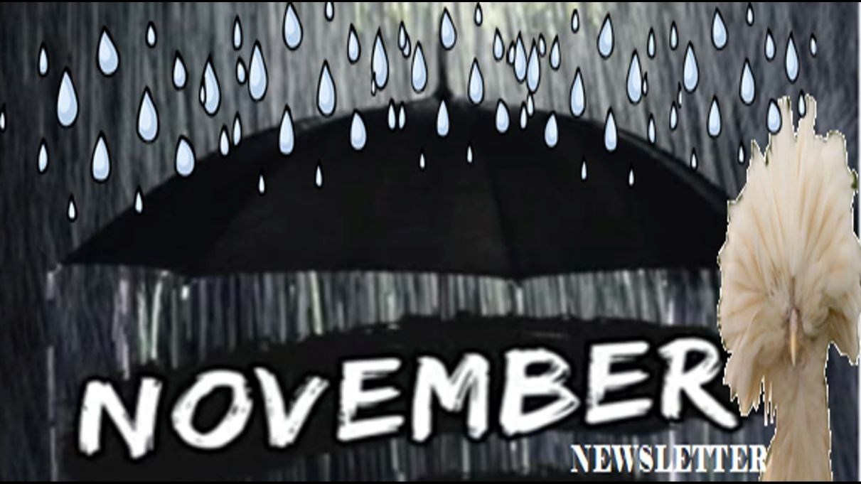 November 2025 Newsletter