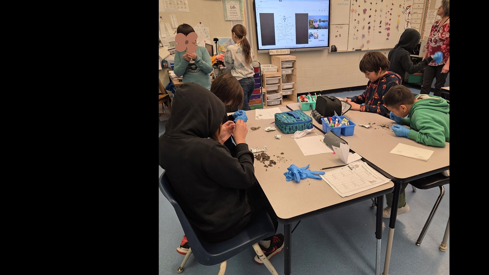 Grade 4 Virtual Field Trip Fun