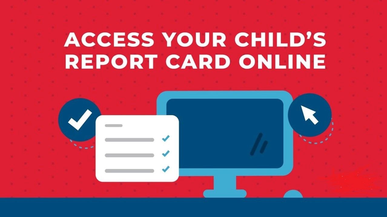 Online Report Cards