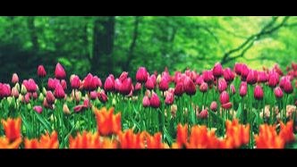 May