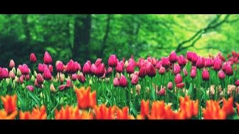 April Newsletter and Calendar