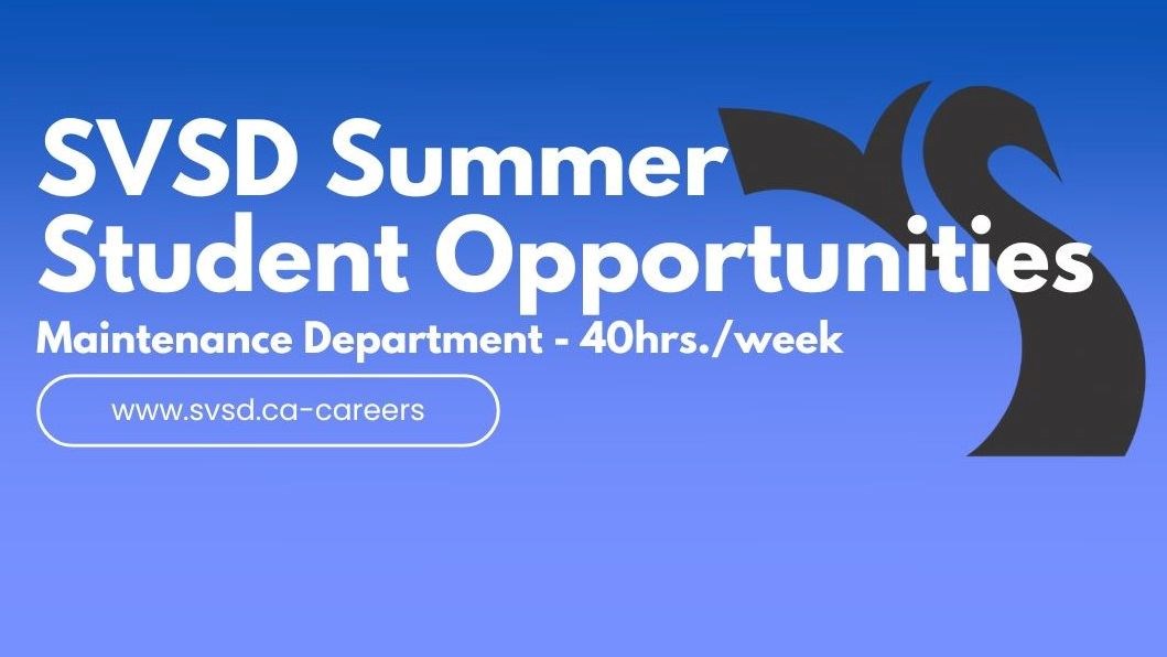 summer student