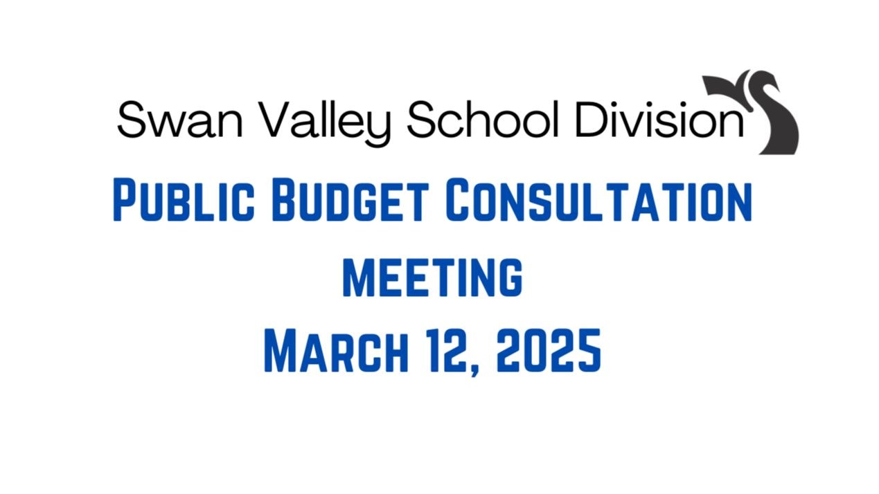 Public Budget Consultation Meeting - March 12, 2025